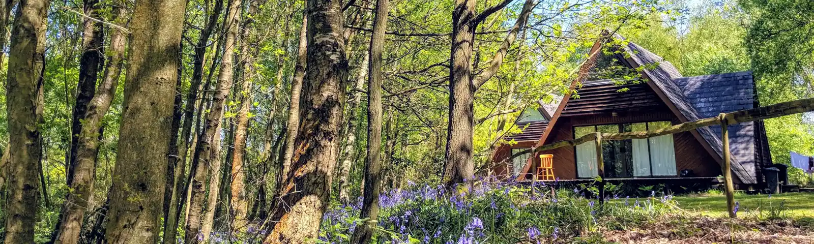 Ashby Farms Lodge With Bluebells May2021