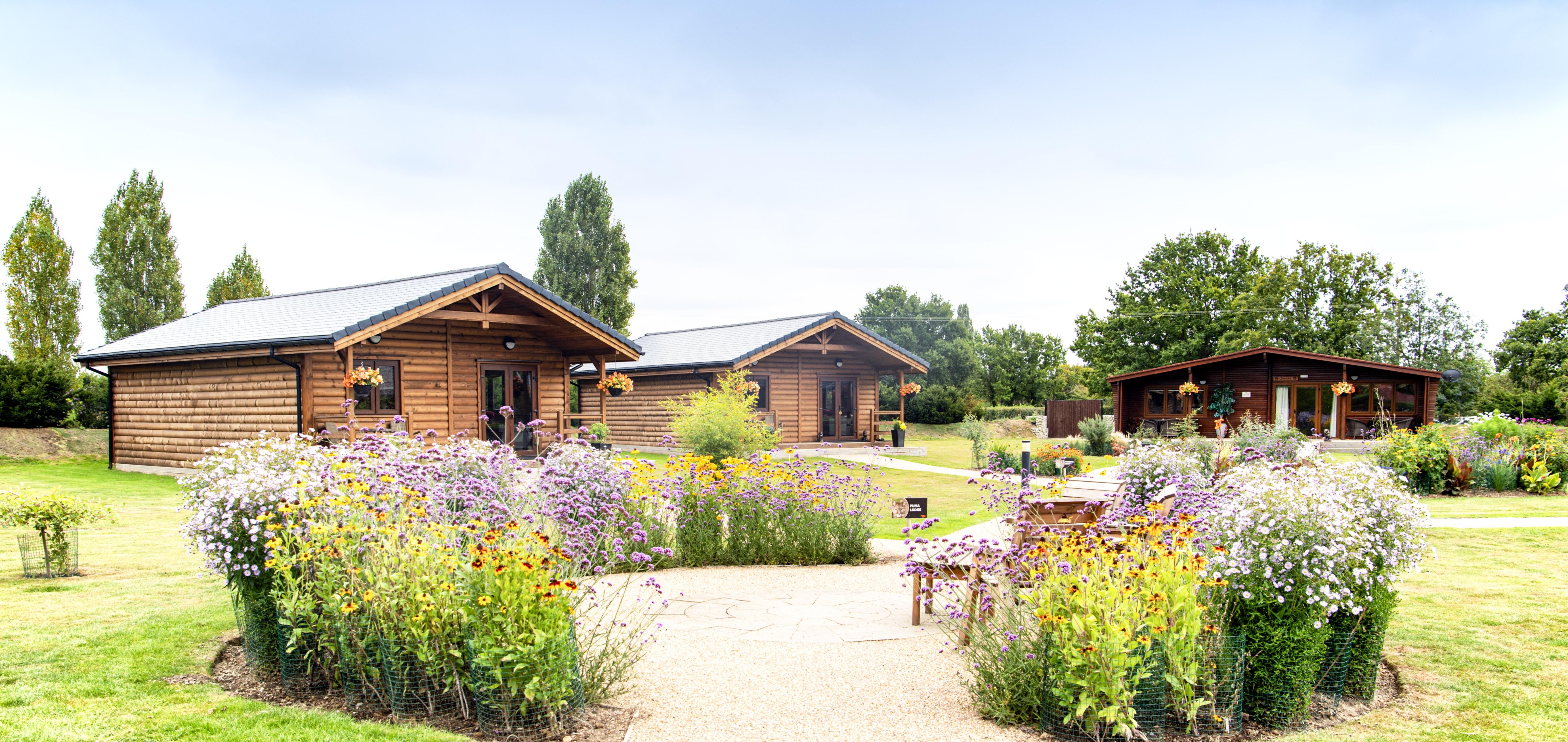 Big Cat Lodges (Oct2020)