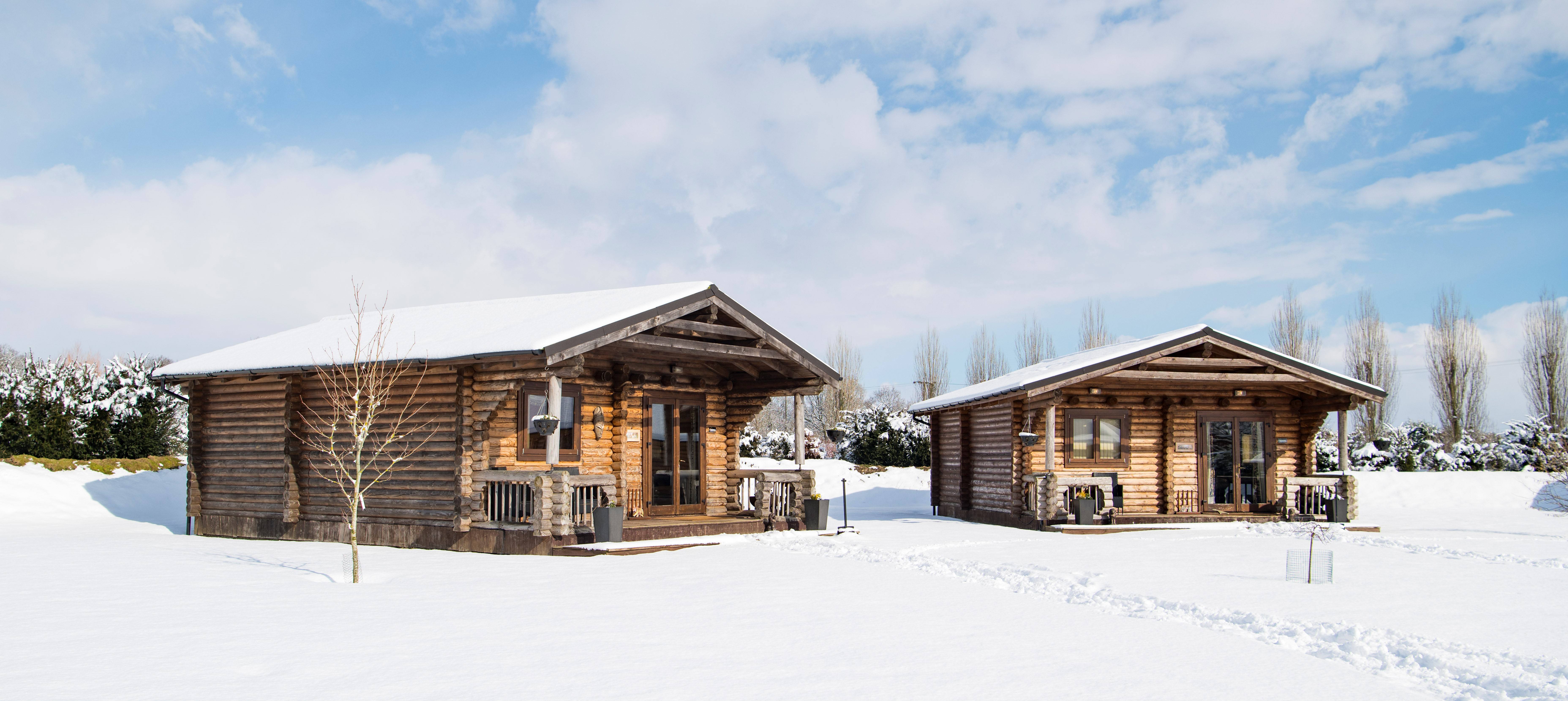 Big Cat Sanctuary Snowy Oct19 (C)