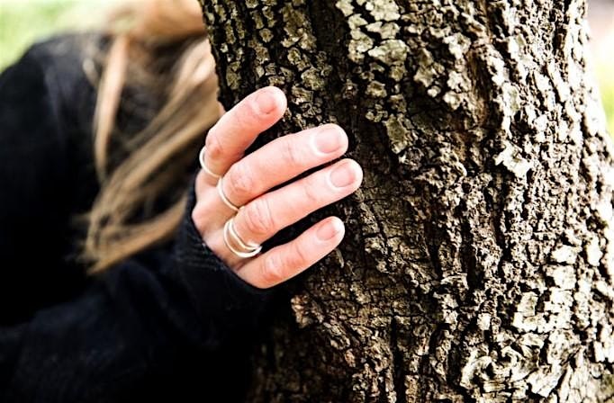 0ed9c4c2-1934-42e7-8564-09b008a89f32-Touching bark_TWT.jpg