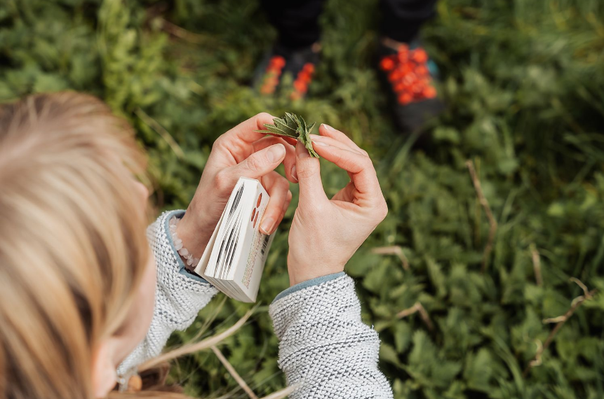 Forage And Dine