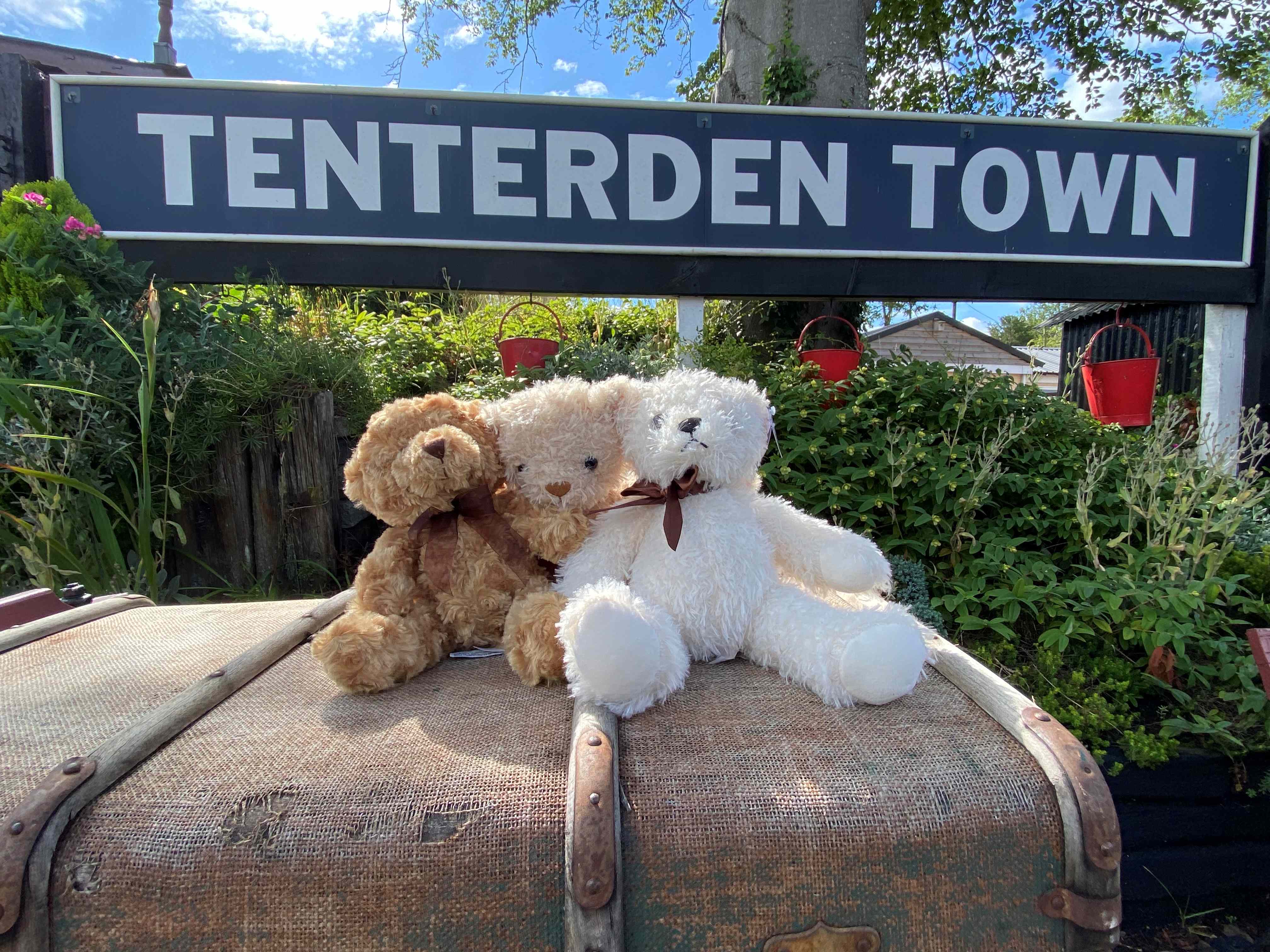 Teddy Bear For Web2 Summer 2026