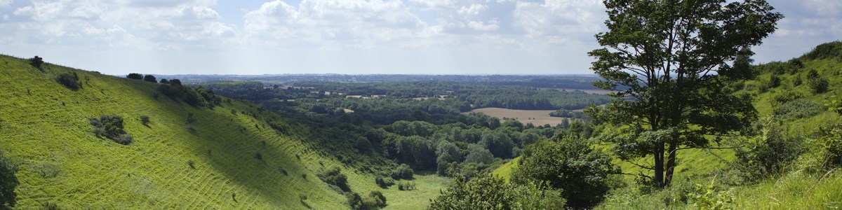 wye.jpg