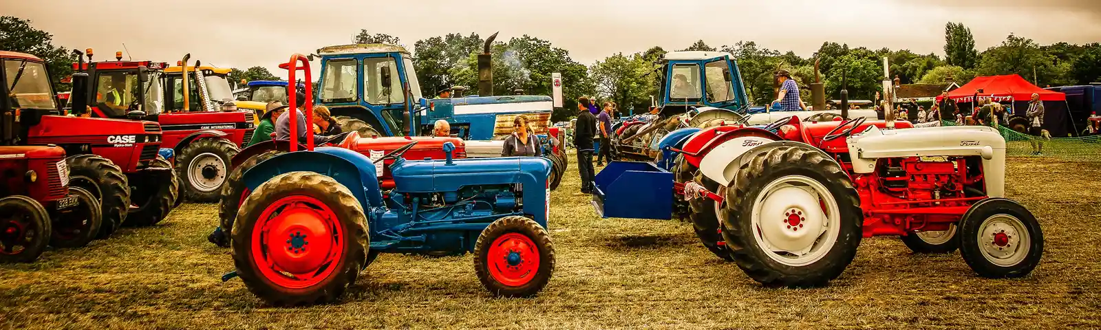 Biddenden Tractorfest tractors 2019 DavidCL.jpg