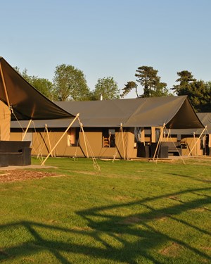 bear-lodge-at-port-lympne-reserve-1.jpg