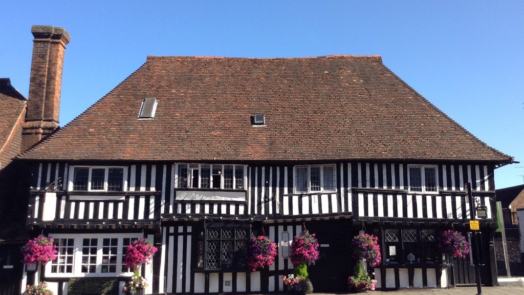 Lem Tree Photo Aug19 (C)