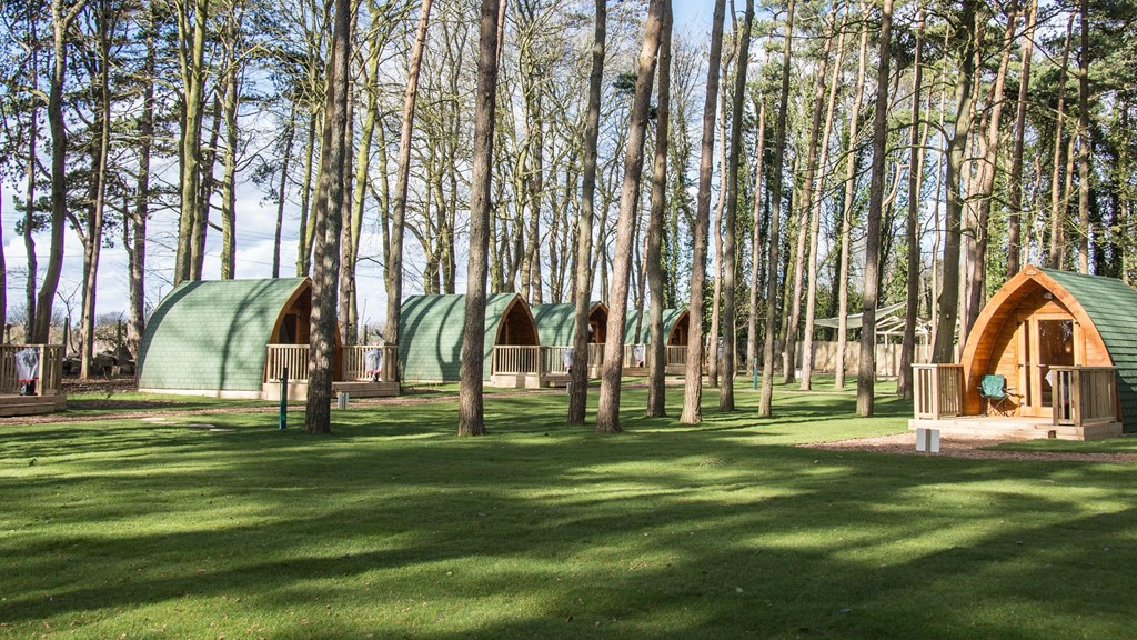 pinewood-pods-at-port-lympne-reserve.jpg
