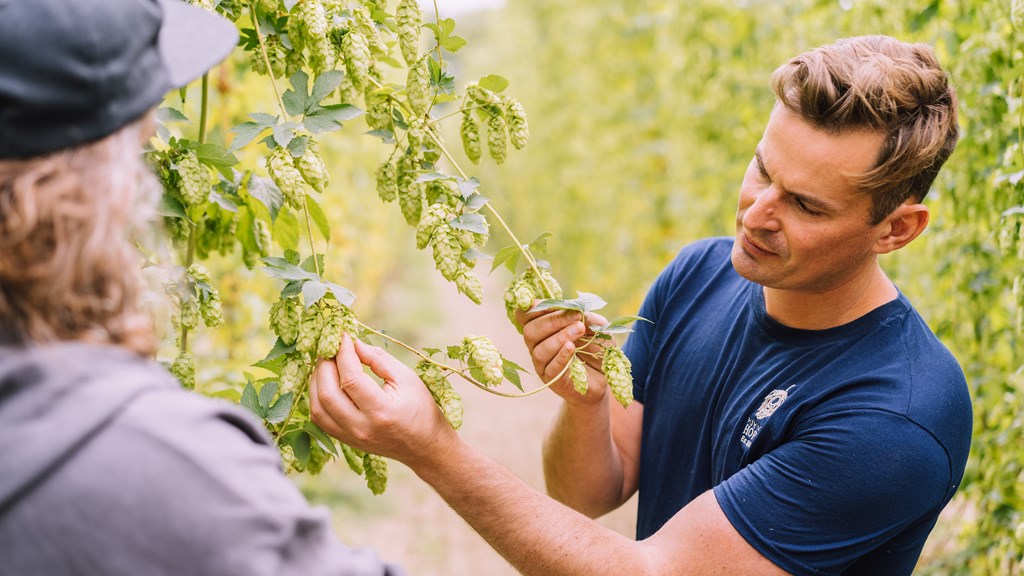 Hukins Hops 2 JAN2021 (C)