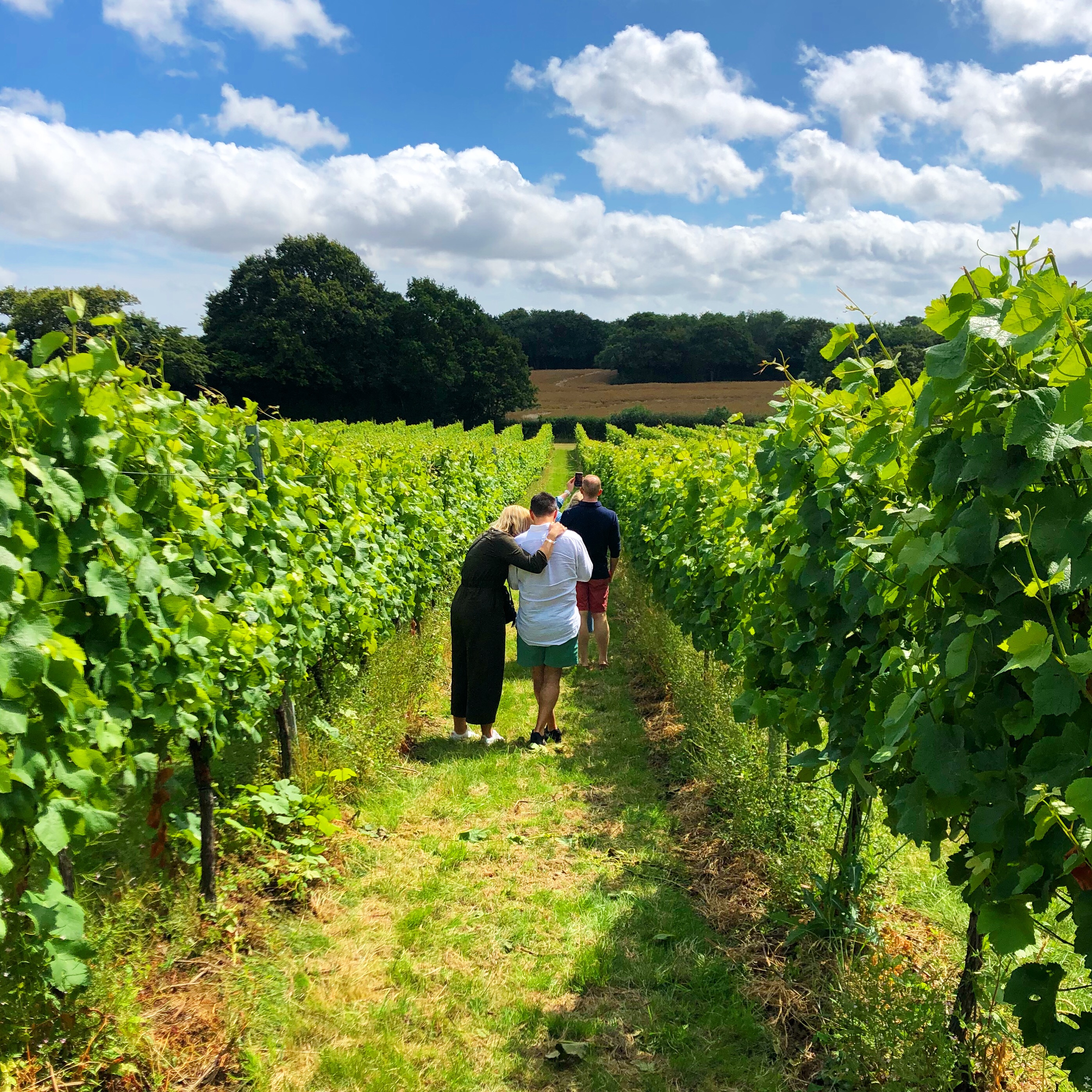 Wine Tours Of Kent Woodchurch Group Shot (June2021)