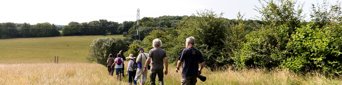 Kent AONB 2