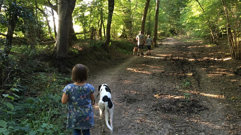 AH.walking the dogs.jpg