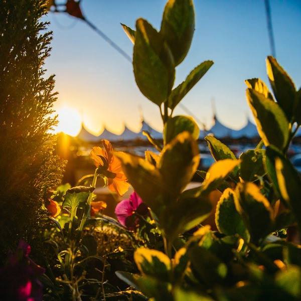 Ashford Designer Outlet - sunset.jpg