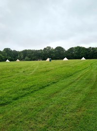 Wood View Bell Tents