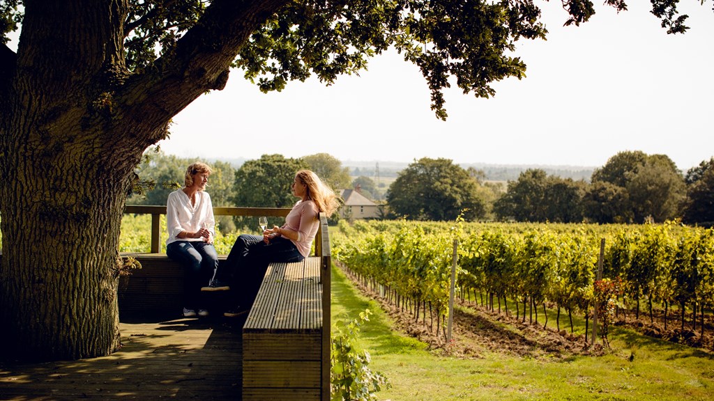 Kristen in vineyard small.jpg