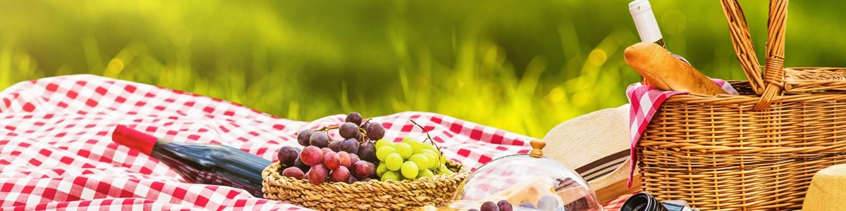 Picnic Banner
