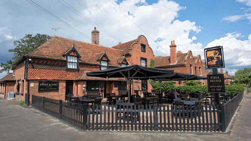 The Swan And Dog