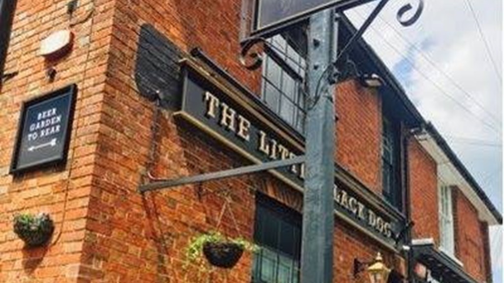 The Little Black Dog